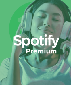 Spotify Premium Individual 12 maanden